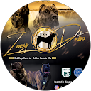 Golden Canario K9 Kennel profile picture